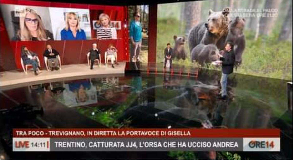 Orsa Jj4, la proposta di Perrino: “Portiamola allo Zoo Safari di Fasano”