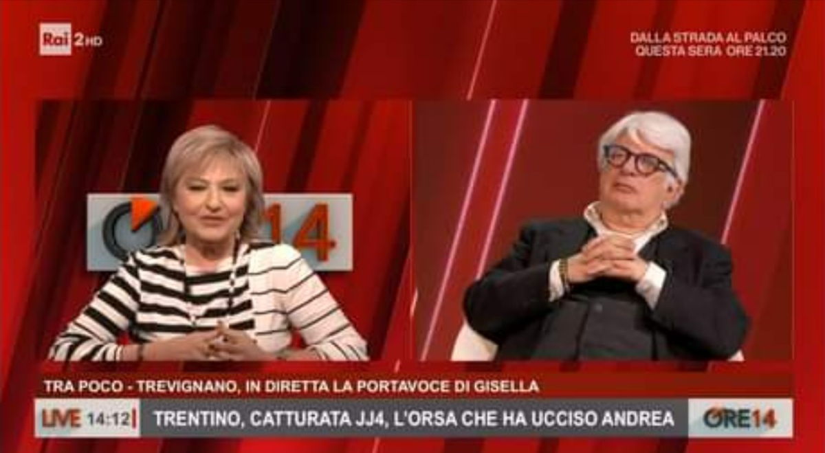 Orsa Jj4, la proposta di Perrino: “Portiamola allo Zoo Safari di Fasano”