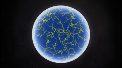 La seconda vita del super-avvocato Simontacchi: un’esperienza multisensoriale