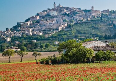 Seed, il primo festival di architettura e ambiente, tra natura e spiritualità