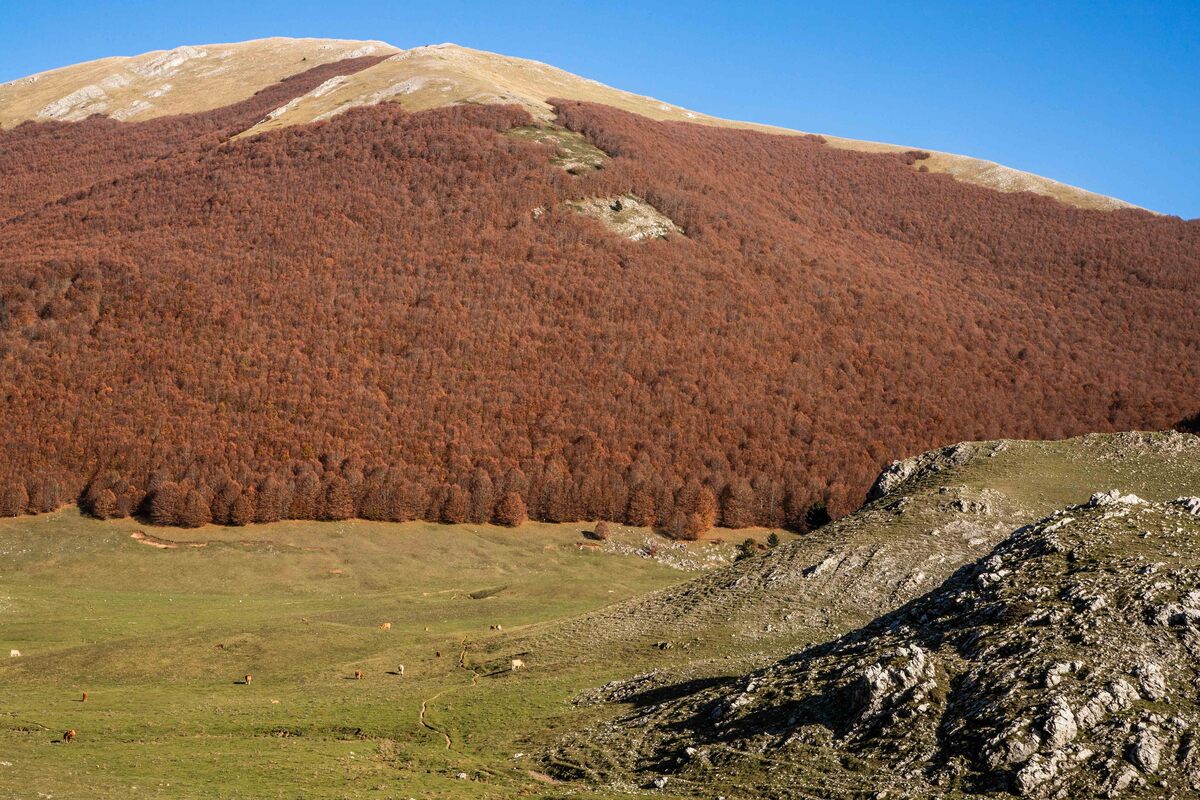 La bellezza dell’Italia sbarca in Cina: la mostra fotografica sui siti Unesco La bellezza dell’Italia sbarca in Cina: la mostra fotografica sui siti Unesco