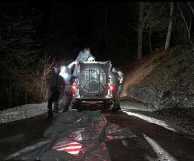 Orsa Ji4, l’Ue dà l’ok all’abbattimento: “È  previsto, ma a certe condizioni”