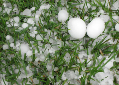 Il Veneto sotto i colpi della grandine: forti danni all’agricoltura