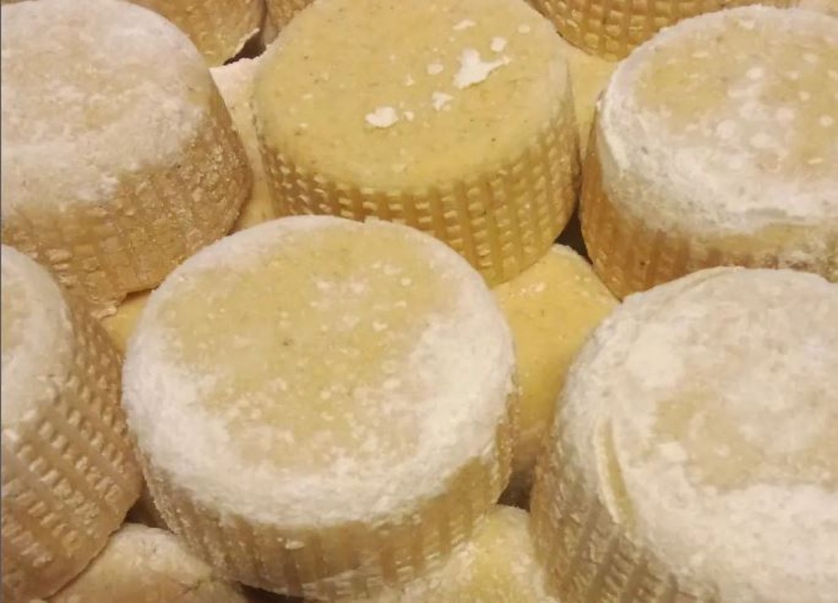 Allarme salmonella nei tomini, ritirate confezioni di vari marchi. Ecco quali Allarme salmonella nei tomini, ritirate confezioni di vari marchi. Ecco quali