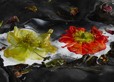 Gallerie d’Italia, arriva la mostra “Mario Carrieri. Amati fiori 2023”