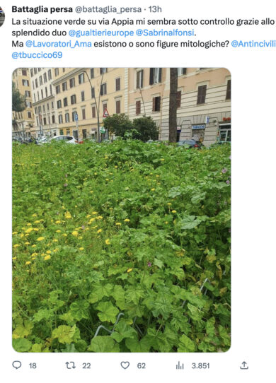 Via Appia come una giungla di malva. Il botta e risposta infiamma twitter