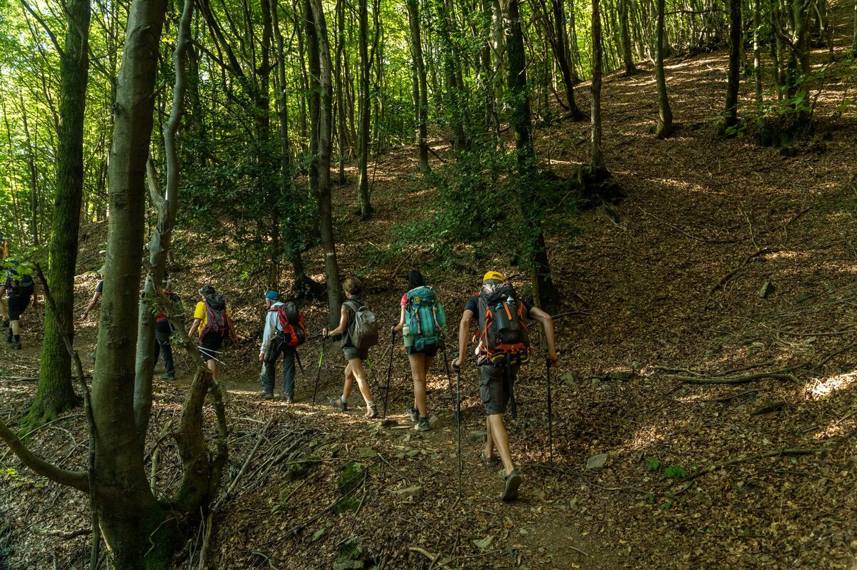 Dal 18 al 21 maggio torna Francigena Fidenza Festival