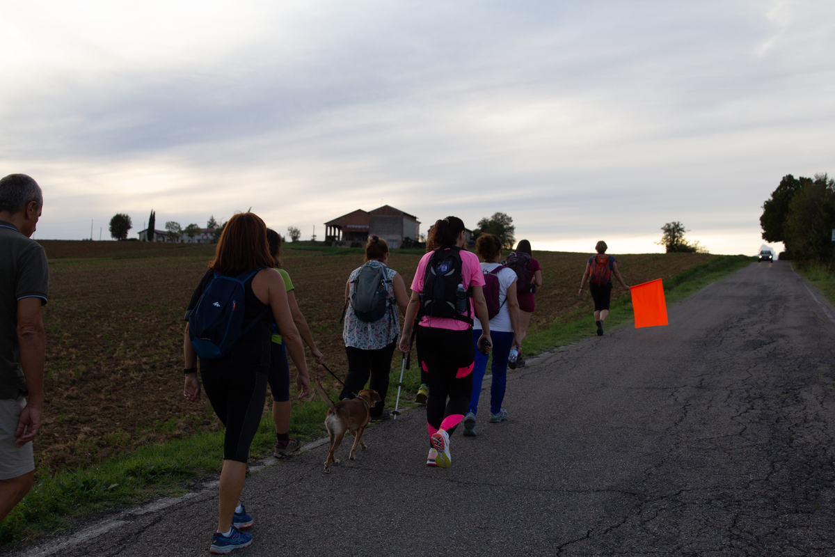 Dal 18 al 21 maggio torna Francigena Fidenza Festival