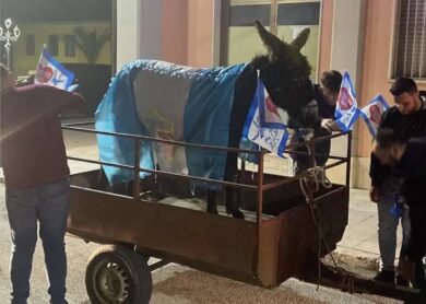 Scudetto Napoli, denunciati i tifosi che hanno colorato un asino d’azzurro