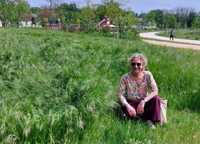 Milano, l’assessore al Verde: “Lasciamo l’erba alta per scelta”