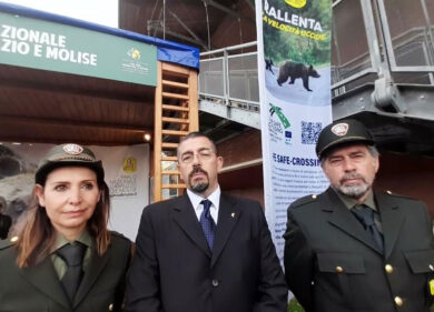 Strage di lupi e grifoni: “Avvelenati”. E’ allarme rosso al Parco D’Abruzzo