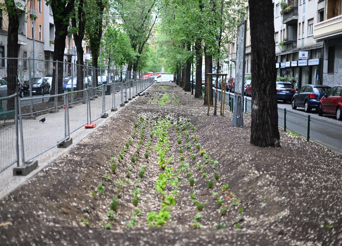 Milano, conclusi i lavori in via Pacini. FOTO