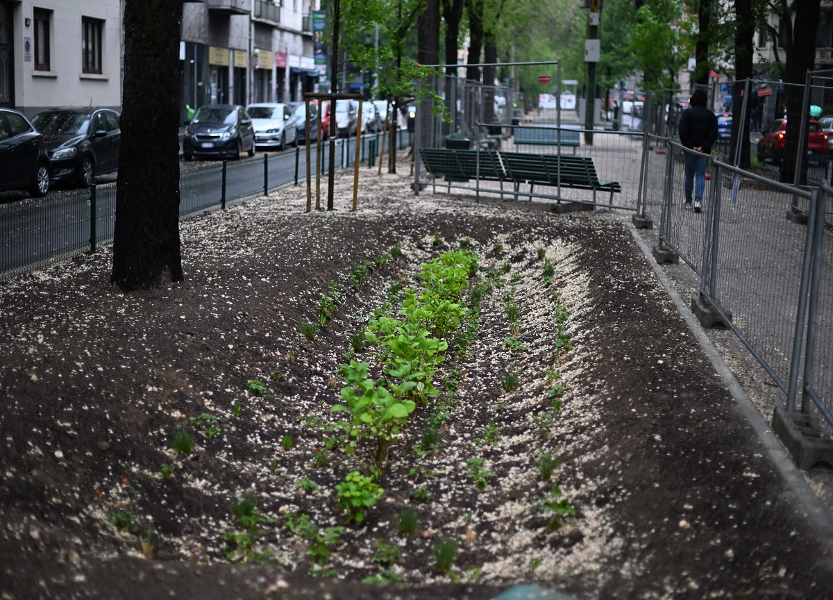Milano, conclusi i lavori in via Pacini. FOTO