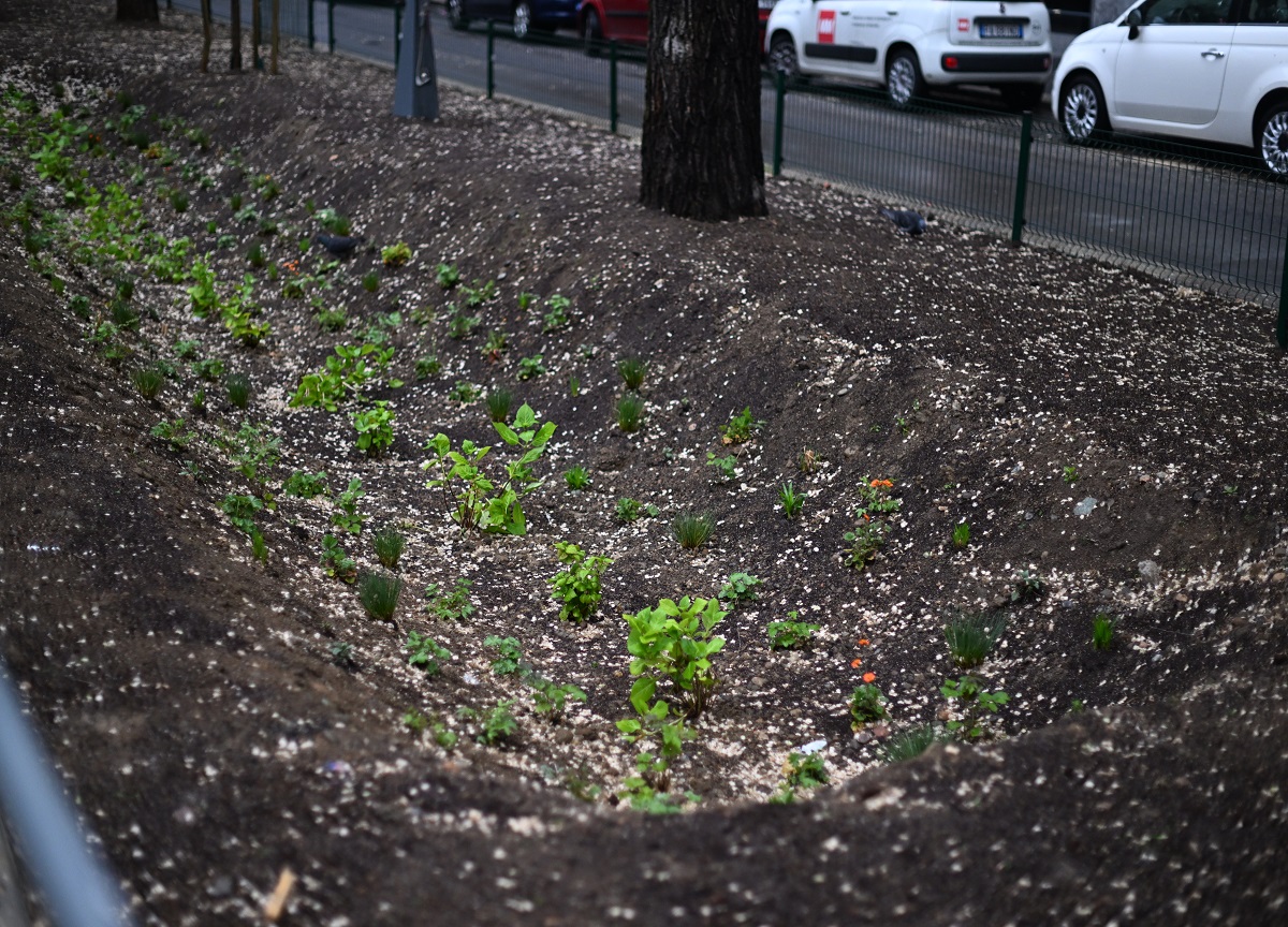 Milano, conclusi i lavori in via Pacini. FOTO