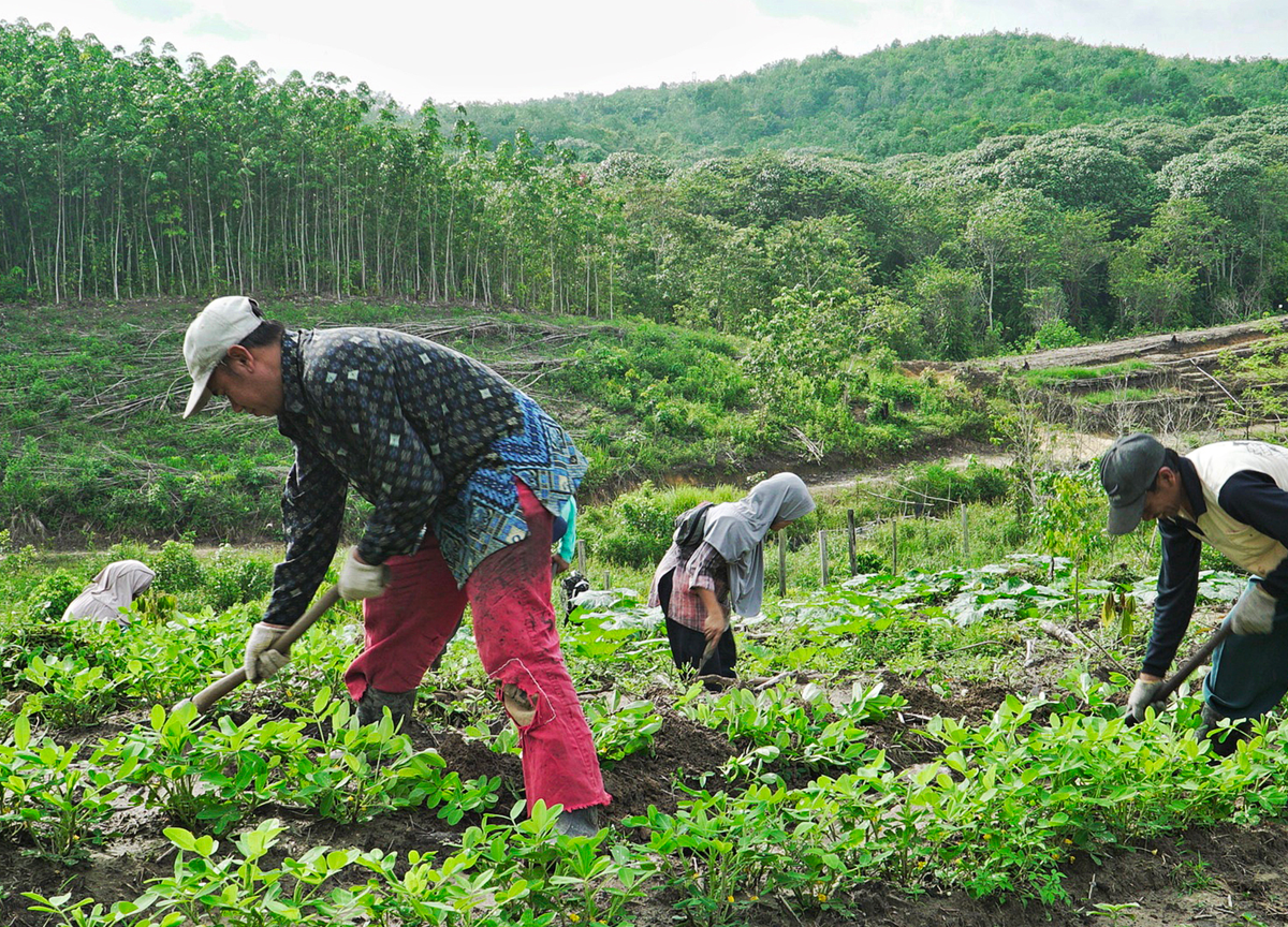 Eni, transizione energetica: pubblicato il report “Eni for 2022” Eni, transizione energetica: pubblicato il report “Eni for 2022”