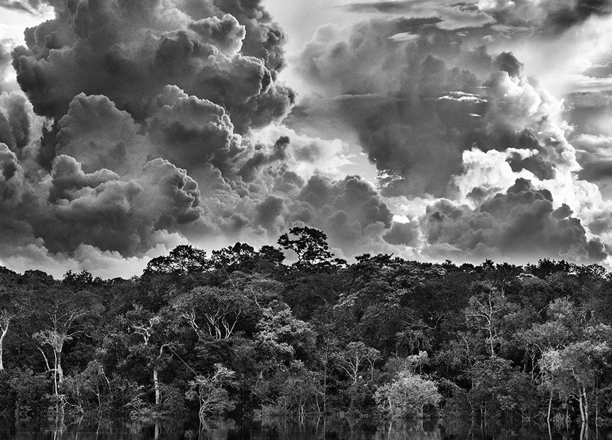 Zurich, inaugurata a Milano la mostra Amazônia di Salgado Zurich, inaugurata a Milano la mostra Amazônia di Salgado