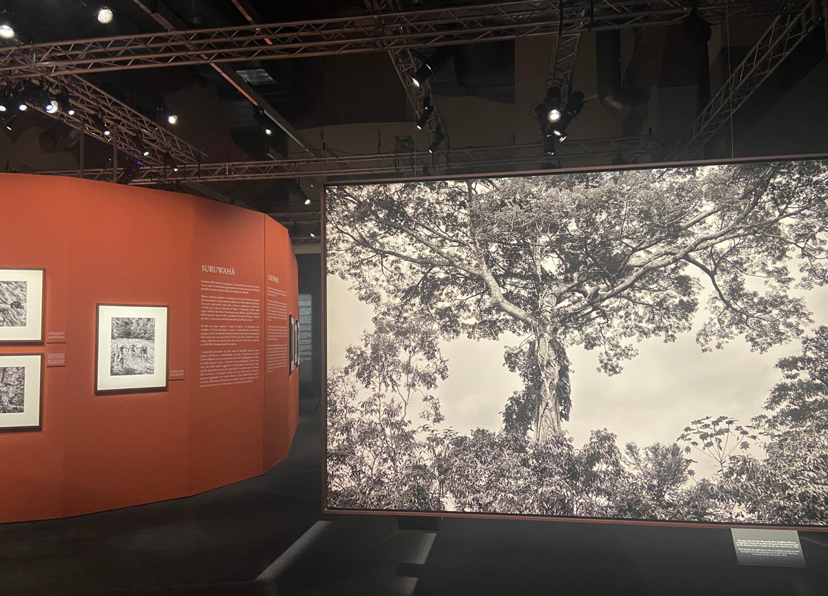 Zurich, inaugurata a Milano la mostra Amazônia di Salgado Zurich, inaugurata a Milano la mostra Amazônia di Salgado