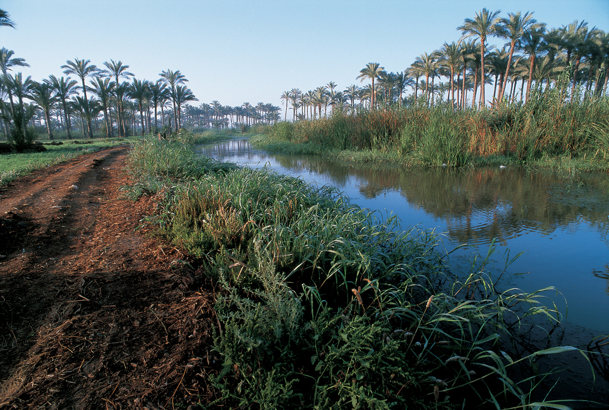 Transizione energetica: Eni pubblica il report Eni for 2022 Transizione energetica: Eni pubblica il report Eni for 2022