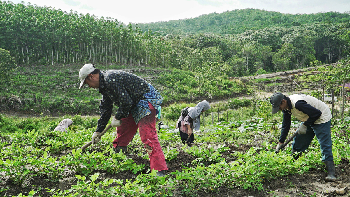 Transizione energetica: Eni pubblica il report Eni for 2022 Transizione energetica: Eni pubblica il report Eni for 2022