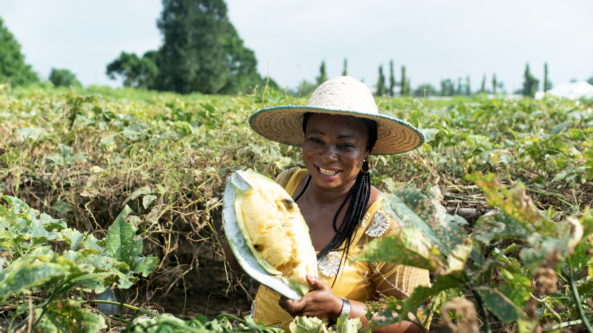 Transizione energetica: Eni pubblica il report Eni for 2022 Transizione energetica: Eni pubblica il report Eni for 2022
