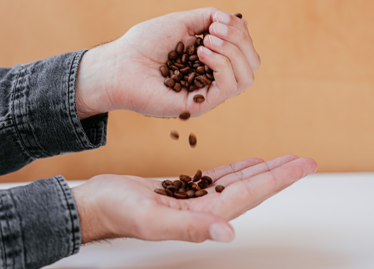 Caffè, il cambiamento climatico mette a rischio le piantagioni in Etiopia Caffè, il cambiamento climatico mette a rischio le piantagioni in Etiopia