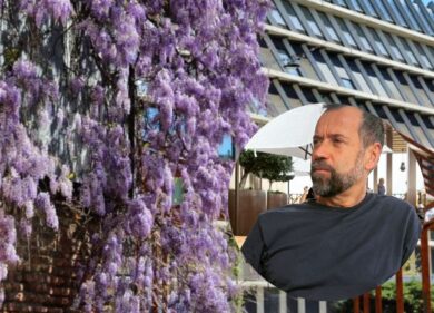 Milano, vip in campo per salvare il glicine di piazzale Baiamonti