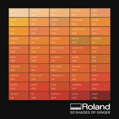 Cinquanta sfumature di rosso: il Colour Index di Roland DG
