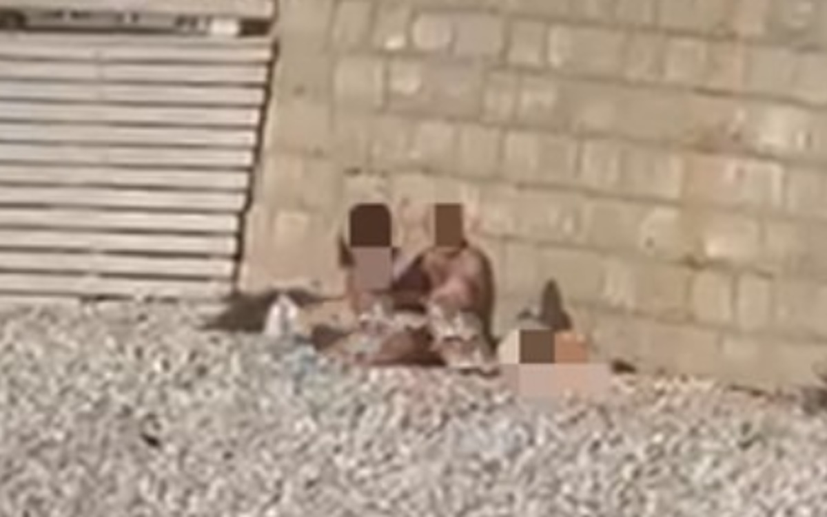 Trani, coppia fa sesso in spiaggia in pieno giorno tra le persone Trani, coppia fa sesso in spiaggia in pieno giorno tra le persone
