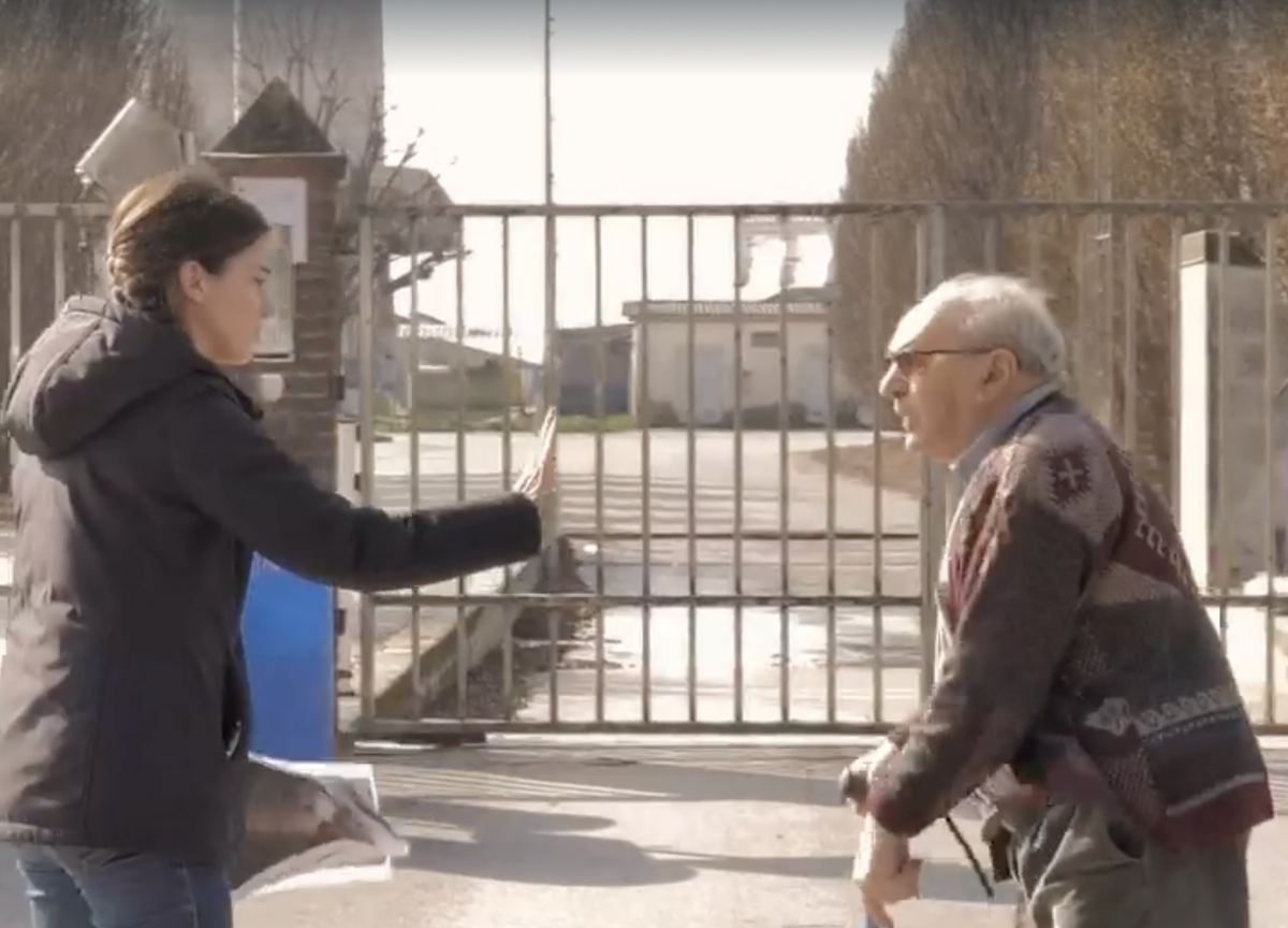 Maiali agonizzanti, giornalista aggredita: “Io turbata, mai successo” Maiali agonizzanti, giornalista aggredita: “Io turbata, mai successo”