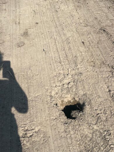 “Bonaccini? Non fatemi quel nome”, su Affari la denuncia dell’alluvionata