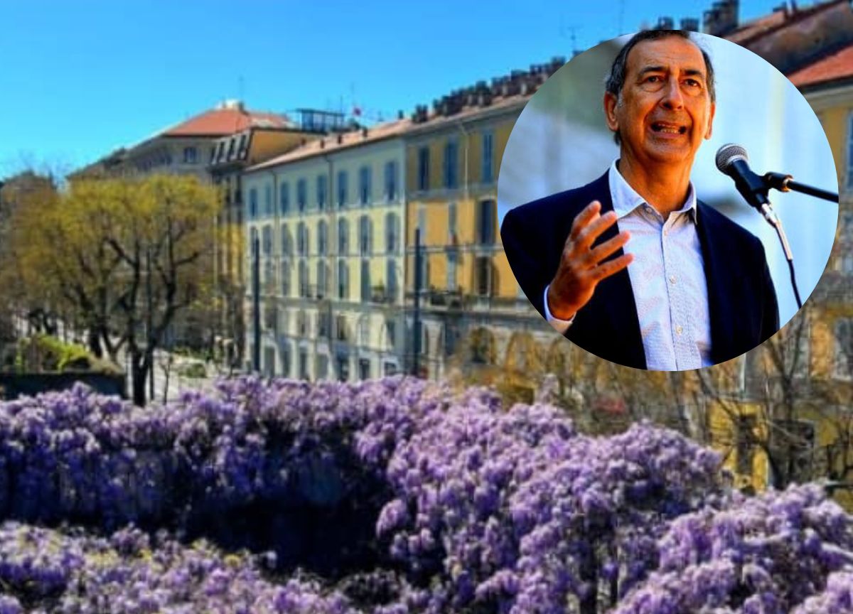 Milano, parte il Museo della Resistenza. Ed il glicine è salvo Milano, parte il Museo della Resistenza. Ed il glicine è salvo