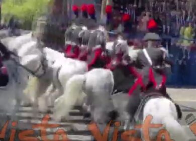 2 giugno, anche i cavalli non ne possono più della parate mattarelliane