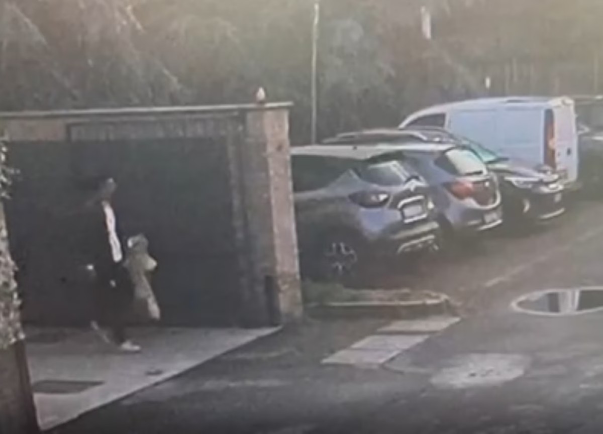 Impagnatiello filmato con guanti e teli. Il gip esclude la premeditazione Impagnatiello filmato con guanti e teli. Il gip esclude la premeditazione