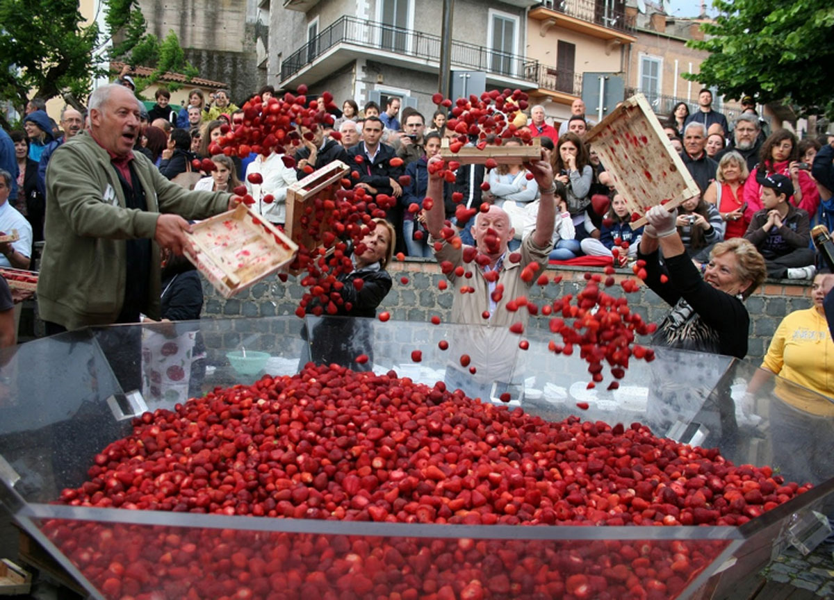 Nemi da record: in 30 mila per la Sagra delle fragole, evento internazionale Nemi da record: in 30 mila per la Sagra delle fragole, evento internazionale