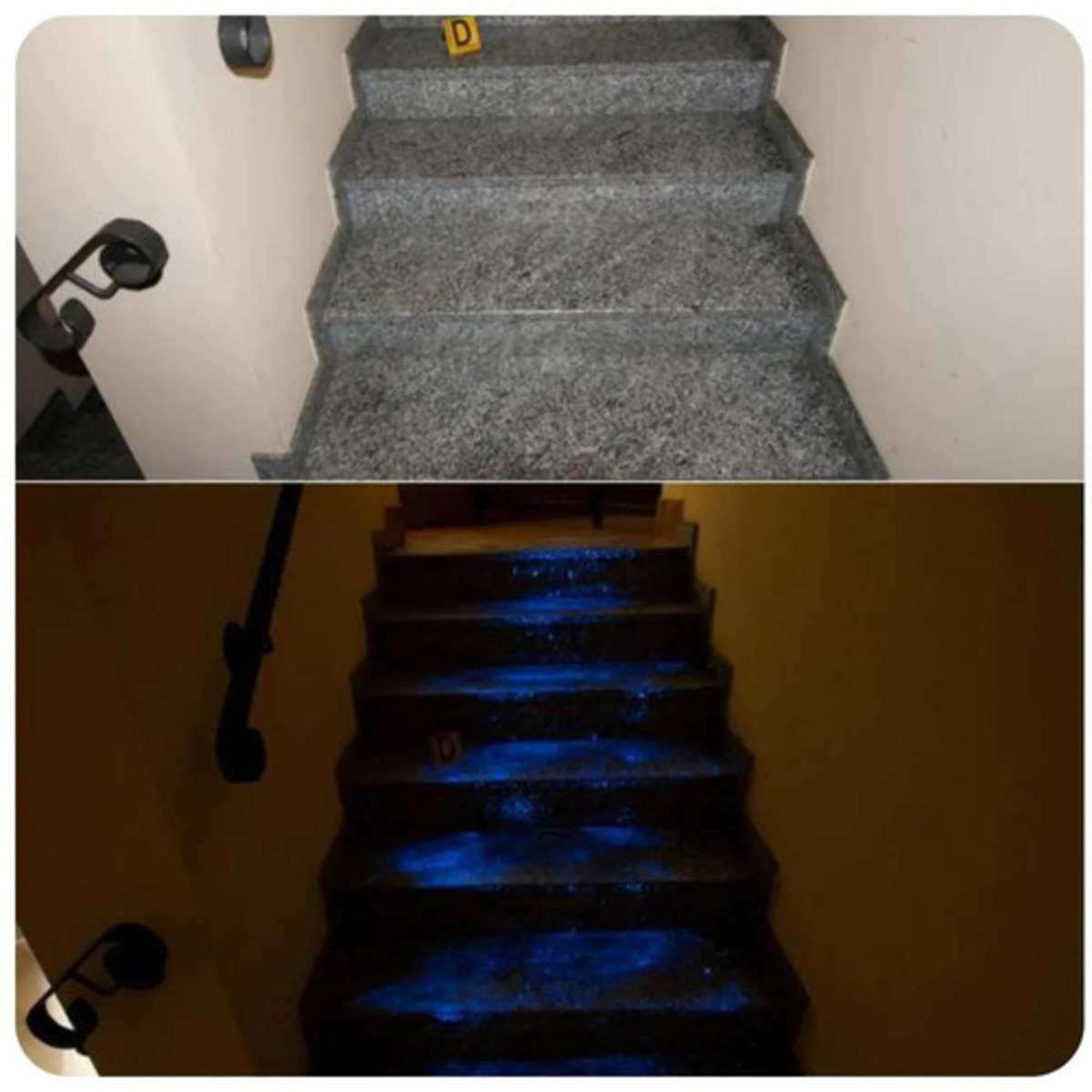 Giulia Tramontano, le foto di Impagnatiello mentre pulisce la tracce di sangue