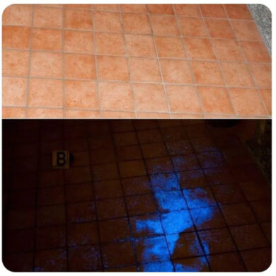 Giulia Tramontano, le foto di Impagnatiello mentre pulisce la tracce di sangue