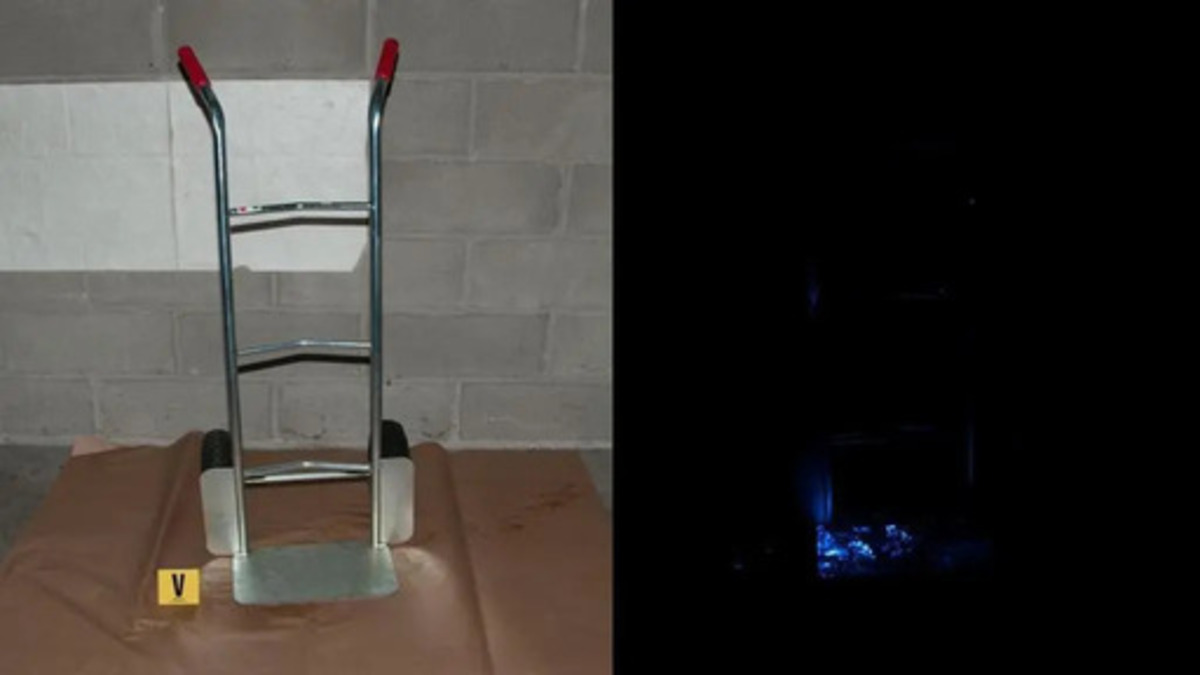 Giulia Tramontano, le foto di Impagnatiello mentre pulisce la tracce di sangue