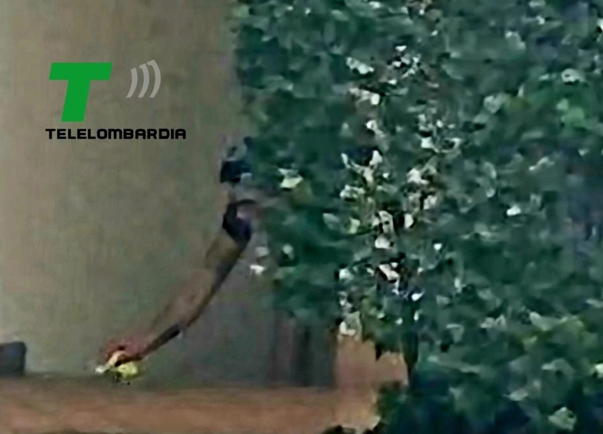 Giulia Tramontano, le foto di Impagnatiello mentre pulisce la tracce di sangue