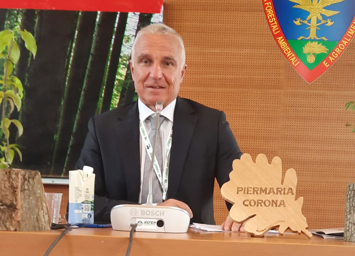 I pini monumentali in pericolo: ecco chi è il professor Piermaria Corona I pini monumentali in pericolo: ecco chi è il professor Piermaria Corona
