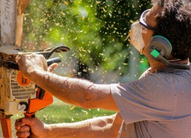 Rami dell’albero del vicino superano il confine: ecco cosa si può fare