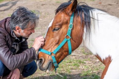 Il nuovo libro di Beppe Convertini