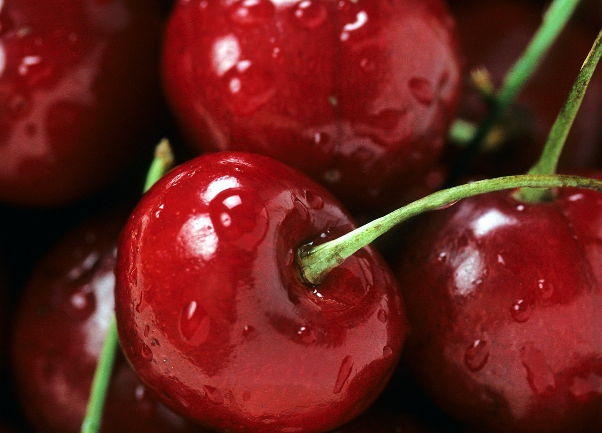 Frutta, il maltempo fa volare i prezzi. Ciliegie un lusso: fino a 18€ al chilo Frutta, il maltempo fa volare i prezzi. Ciliegie un lusso: fino a 18€ al chilo