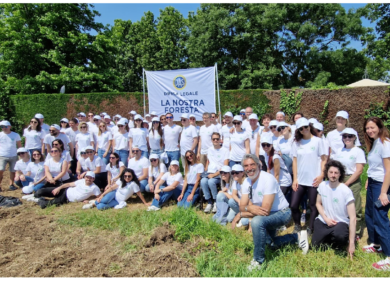 Verona, nasce la Foresta DAS: piantati 300 alberi di Paulownia