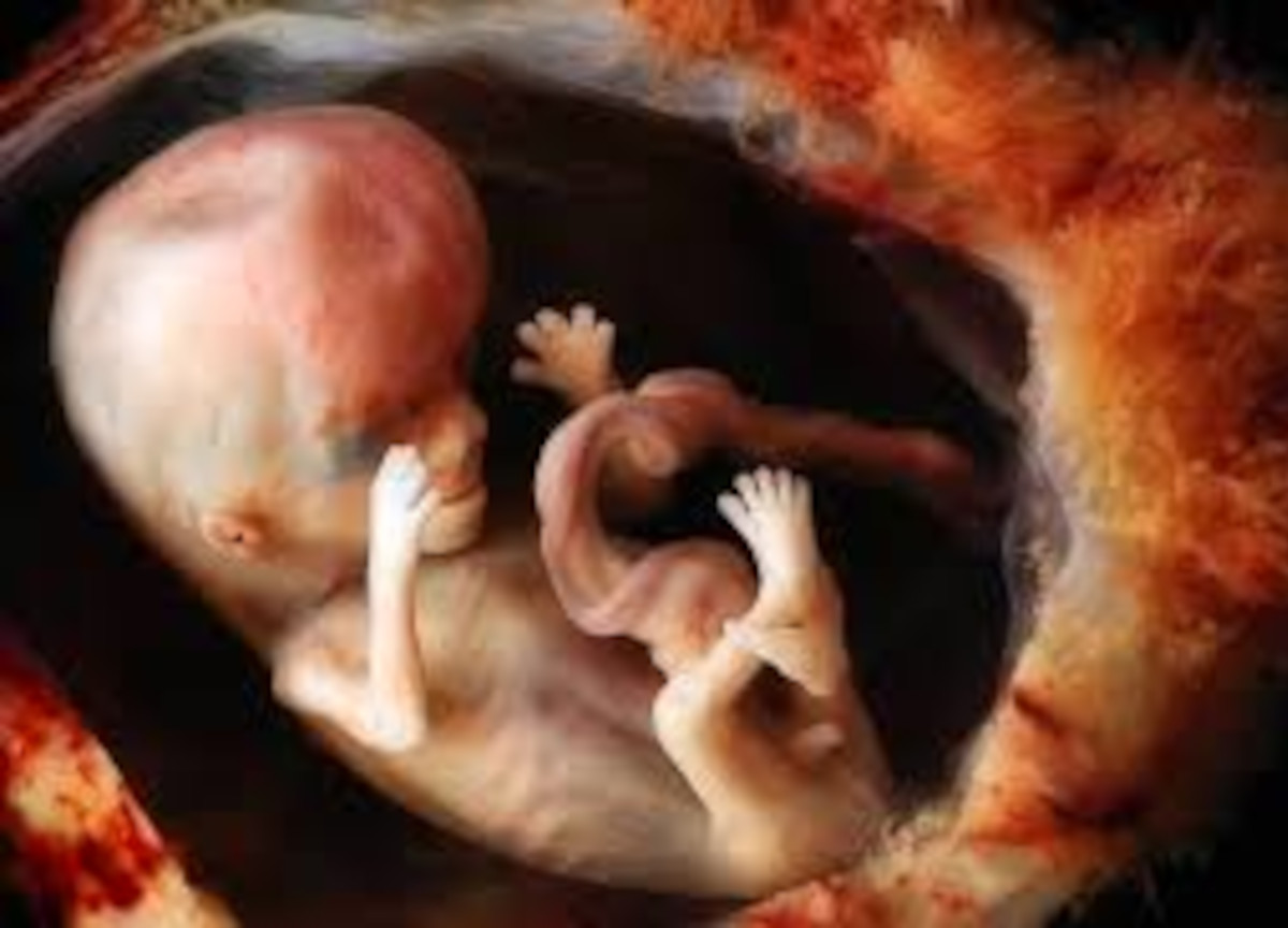 Scoperto l’embrione sintetico, addio ovuli e sperma. L’uomo sarà artificiale