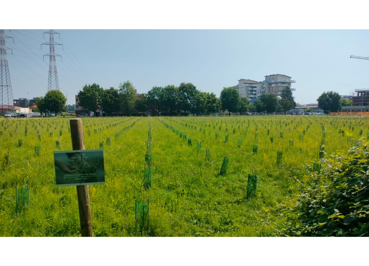 Arbolia e Università della Tuscia: un nuovo modello per assorbire la CO2