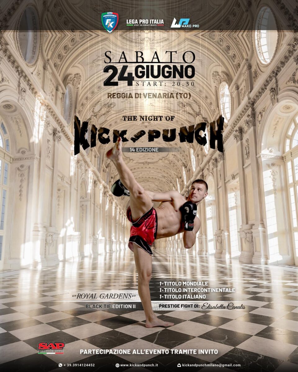 Poster The Night of Kick and Punch 14 Poster The Night of Kick and Punch 14
