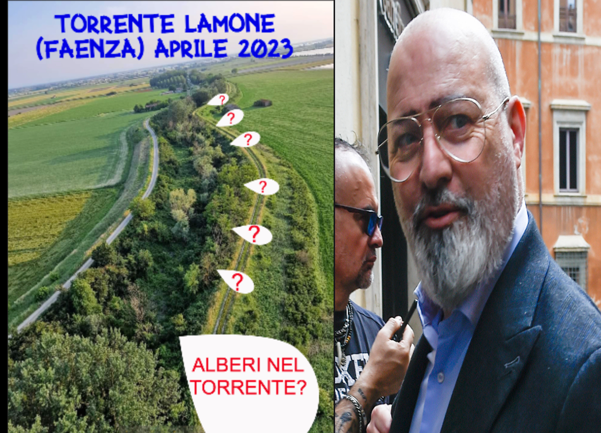 Galleria foto 'Emilia Romagna, alberi da 20 metri nei letti dei fiumi. Bonaccini inchiodato' - foto 1
