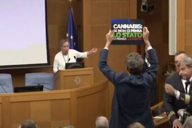 Droghe, Magi (+Europa) su Affari: “Meloni? Falsità e insicurezza”