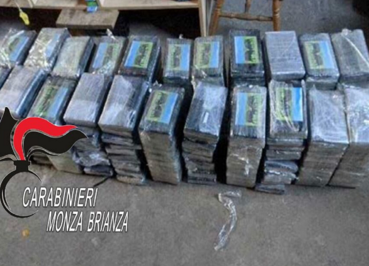 Traffico di droga e di armi: trenta arrestati e 221 capi di imputazione. FOTO
