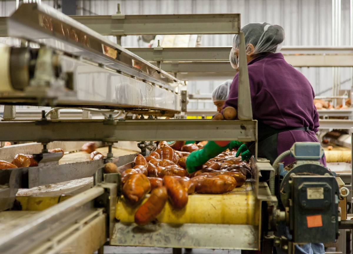 Lavoro della filiera alimentare: online il podcast “Sulle spalle degli altri” Lavoro della filiera alimentare: online il podcast “Sulle spalle degli altri”